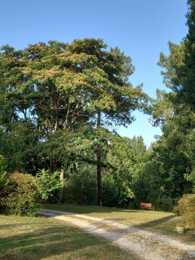 Le Jardin De Myrtille Acomodação com café da manhã Saint-Géraud-de-Corps Exterior foto